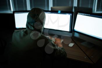 Male internet hacker in hood sitting at monitors, back view. Illegal web programmer at workplace, criminal occupation. Data hacking, cyber security