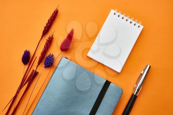 Two Notepads and pen closeup, orange background. Office stationery supplies, school or education accessories, writing and drawing tools