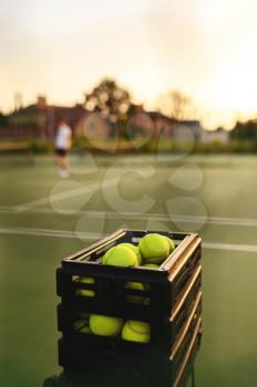 Basket with tennis balls closeup, selective focus, player on blur background, outdoor court. Active healthy lifestyle, sport game with racket concept