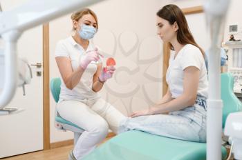 Female dentist and patient at appointment in clinic, stomatology. Orthodontist in uniform and customer, medical worker, medicine and health, professional teeth care, dentistry