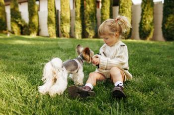 Kid play with funny dog in the garden. Child with puppy sitting on the lawn on backyard. Little girl and her pet having fun on playground outdoors, happy childhood