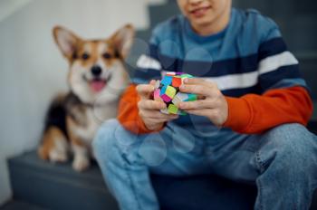 Child and his dog play with puzzle cubes on steps. Toy for brain and logical mind training, creative game, solving of complex problems