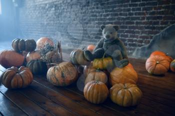 Pumpkins and teddy bear, nobody, demons casting out. Exorcism concept, mystery paranormal ritual, dark religion, night horror