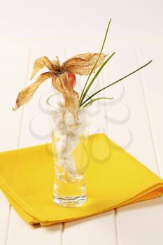 Fresh cheese in a glass garnished with physalis fruit