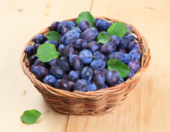 Basket of freshly picked plums - closeup