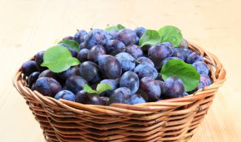 Basket of freshly picked plums - detail