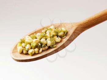 Mung beans on a wooden spoon 