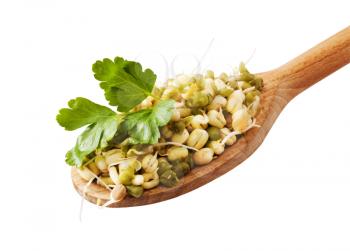 Mung beans with lovage leaf on a wooden spoon