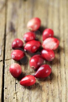 Group of fresh red cranberries on wood