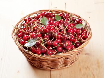 Freshly picked red cherries in a basket