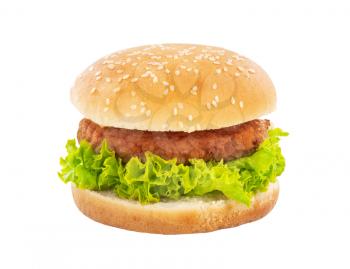 Single hamburger isolated on white background