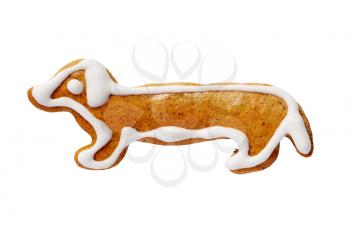 Dog-shaped gingerbread cookie isolated on white background                             