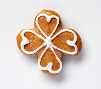 Gingerbread cookie decorated with sugar icing - studio 
