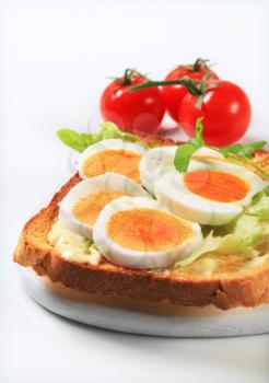 Open faced egg sandwich - studio