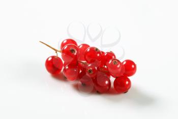Fresh red currant berries - studio