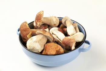 Fresh mushrooms in a blue metal dish