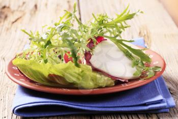 Fresh salad greens and kohlrabi