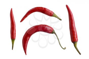 Red Hot Chili Peppers isolated on white