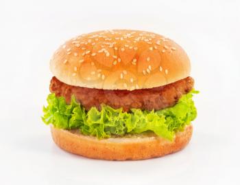 Single hamburger  on white