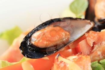 Detail of salmon and mussel salad