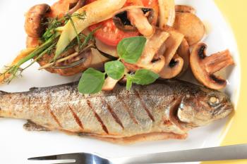 Grilled trout  with mushrooms, fennel and potato
