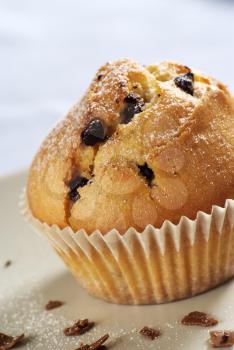 Detail of Chocolate chip muffin