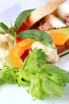 Tuna sandwich and raw vegetables - detail