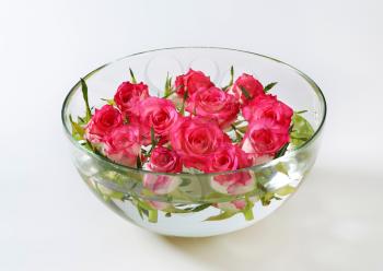 Roses floating in a bowl of water