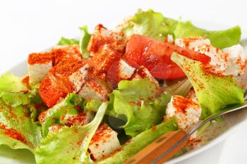 Diced feta cheese with fresh lettuce and tomatoes