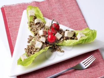 Healthy appetizer - Lentils and tofu on lettuce leaves 
