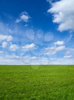 Landscape - Green field and blue sky 