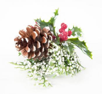 Christmas decoration - sprig oh holly and pine cone