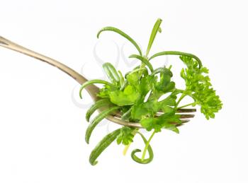 Fresh herb sprigs on fork