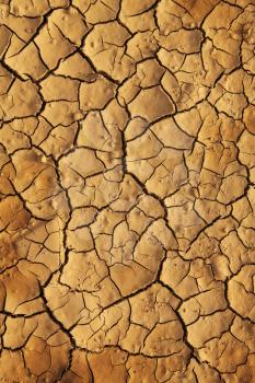 Dry cracked earth texture, background