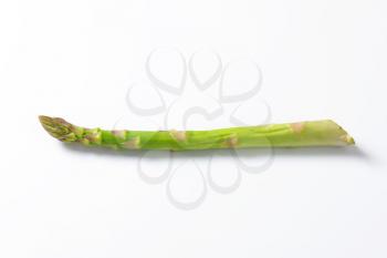Single fresh asparagus spear - studio shot