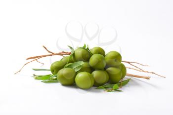Pile of green olives with twigs and leaves