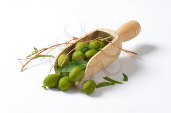 Raw green olives on wooden scoop