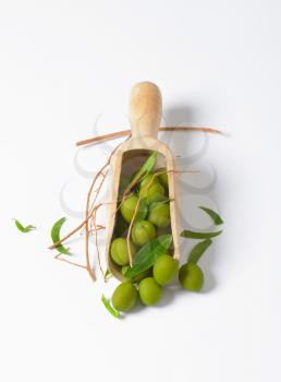 Raw green olives on wooden scoop