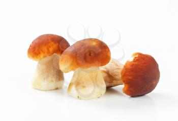 Studio shot of fresh edible mushrooms