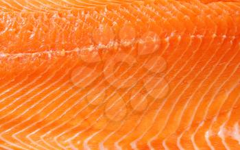 Full frame background of raw salmon fillet