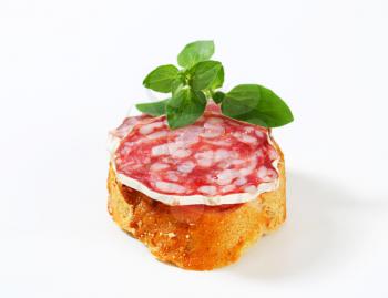 Crispy canape with French dry sausage