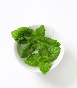 Fresh mint leaves in a cup