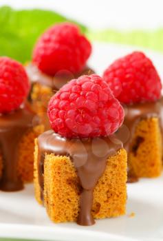 Bite-sized gingerbread squares with liquid chocolate and fresh raspberry on top