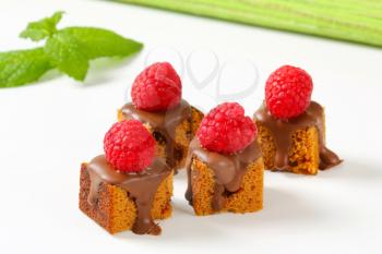 Bite-sized gingerbread squares with liquid chocolate and fresh raspberry on top