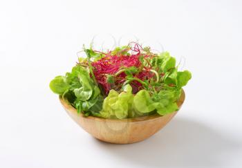 Bowl of mixed green salad