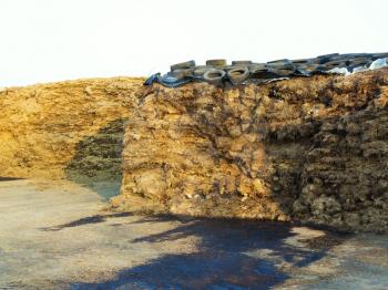heap of manure covered with old tires