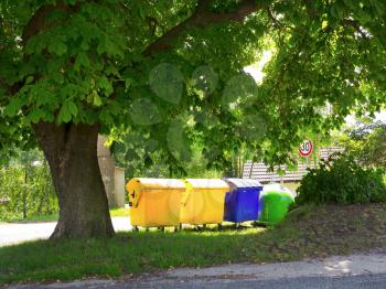 recycling containers under  chestnut tree