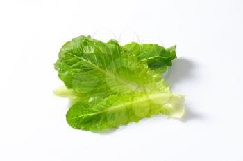 leaves of romaine lettuce on white background
