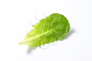 single romaine lettuce leaf on white background