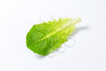 single romaine lettuce leaf on white background